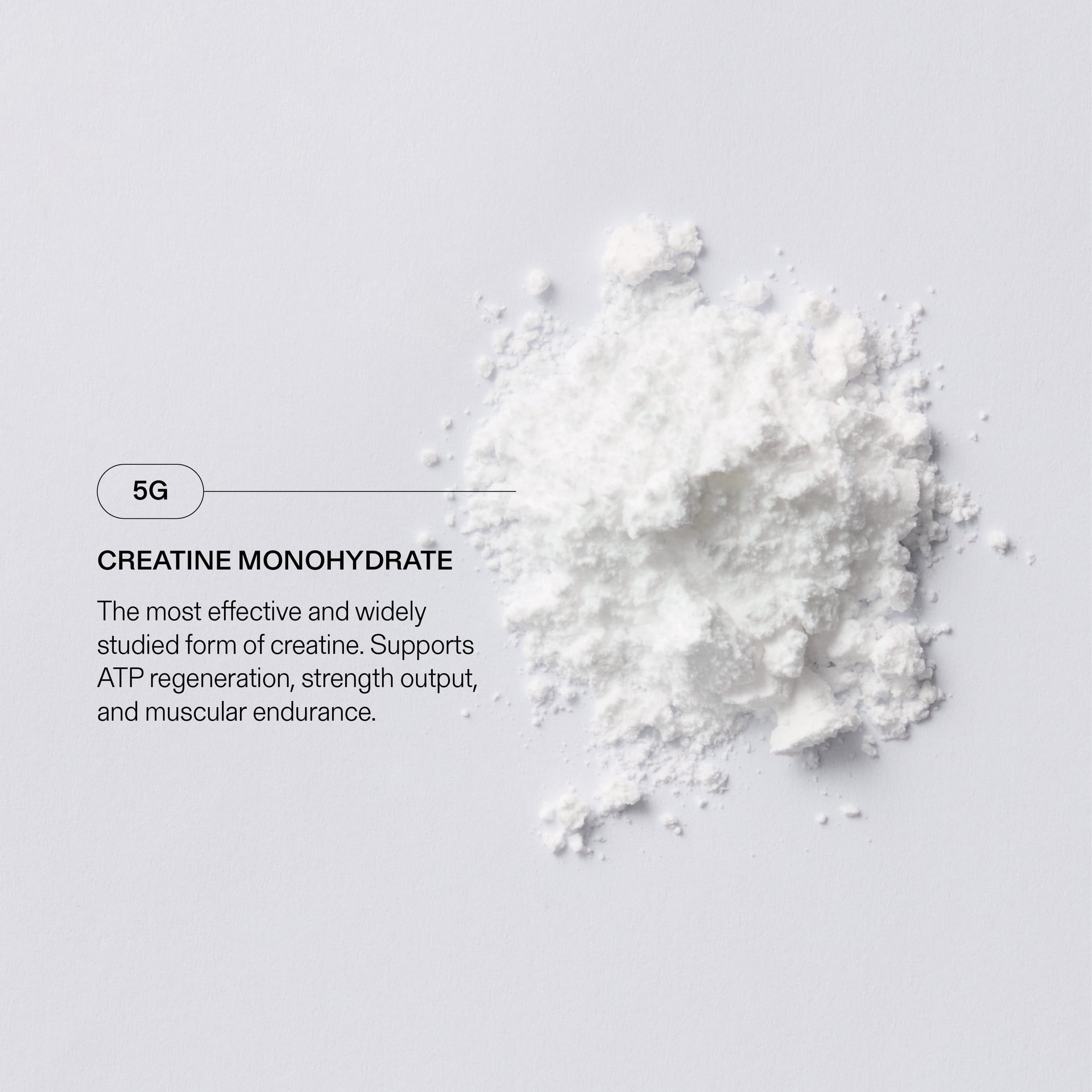 Creatine monohydrate on the table overlay text of how it supports ATP regeneration and strength output as well as muscle endurance.