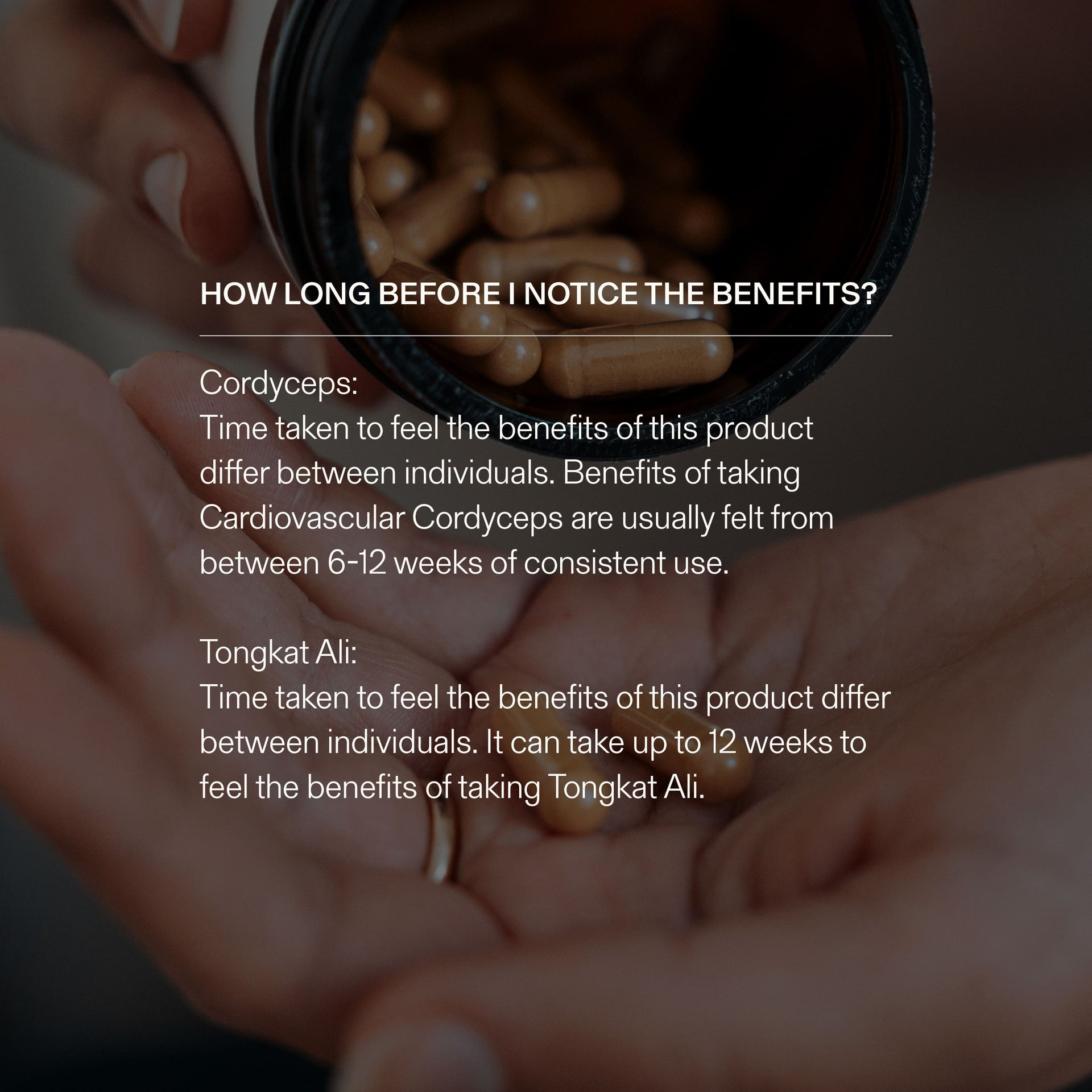 Hand holding a container of Cordyceps with text about product benefits and timing of taking Cordyceps and Tongkat Ali.