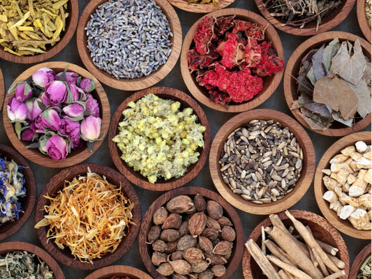 A Beginner's Guide to Taking Adaptogens