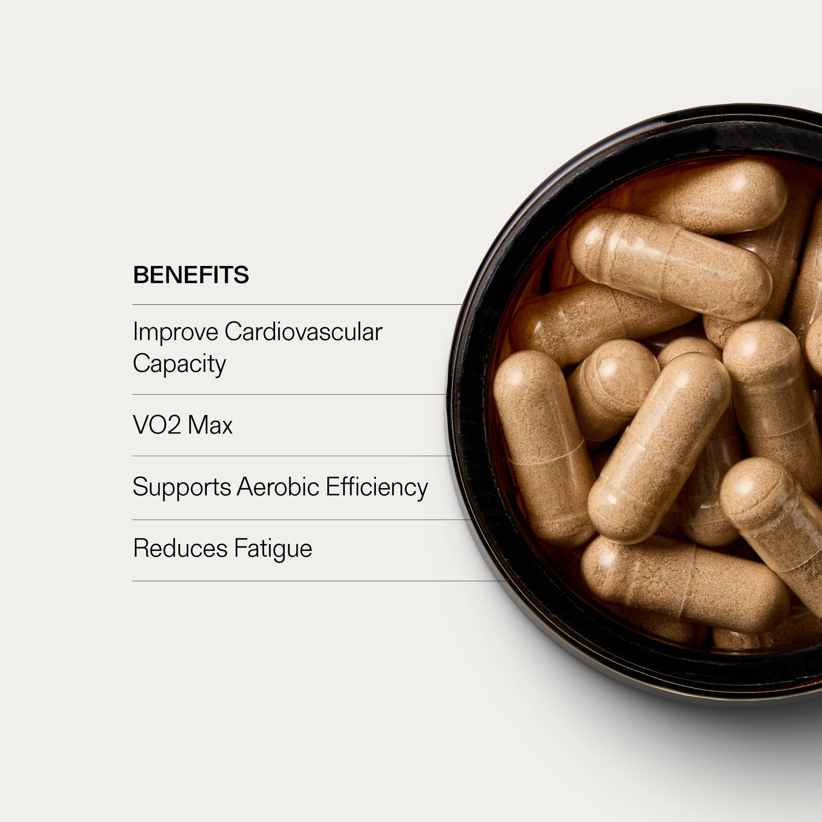 Cardiovascular Cordyceps