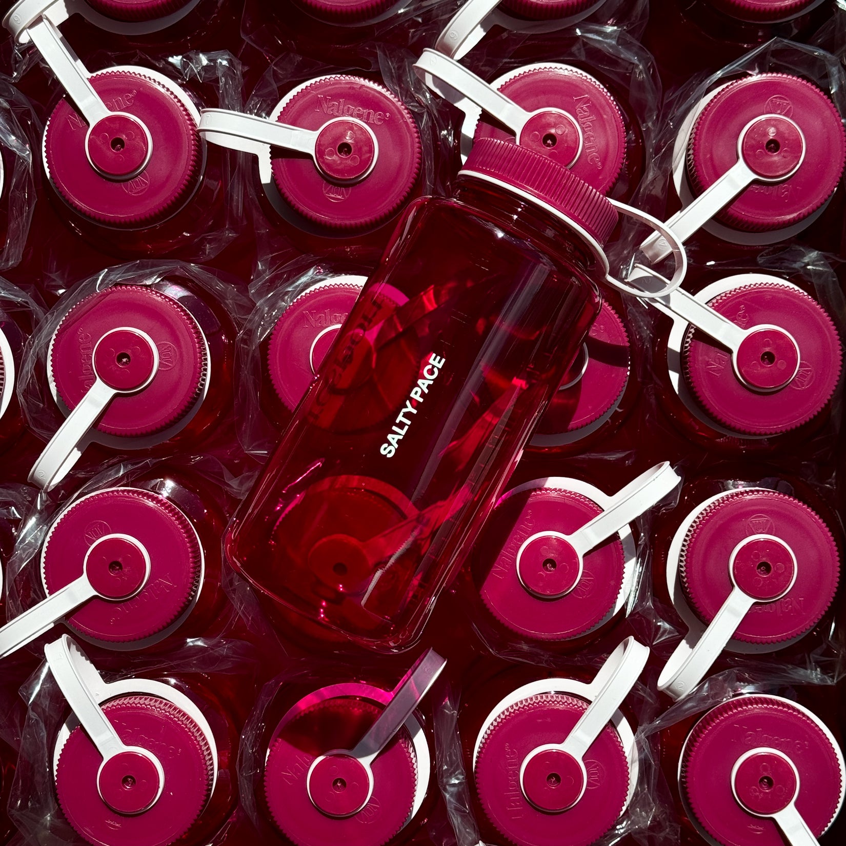 Nalgene Water Bottle - Raspberry