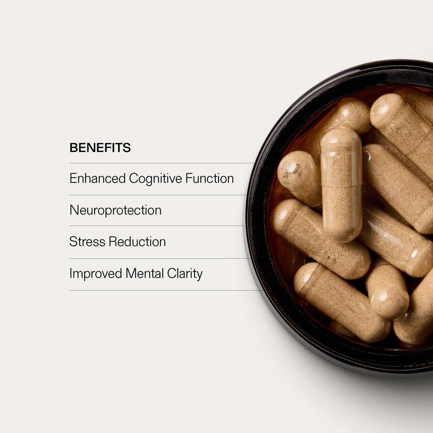 Lion's Mane For the Brain