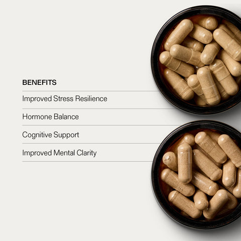 Cognitive Performance Bundle