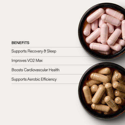 Run and Recover Bundle