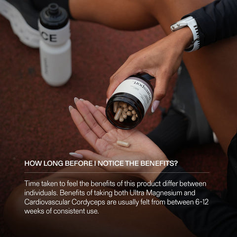 Run and Recover Bundle