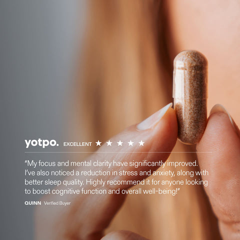 Cognitive Performance Bundle