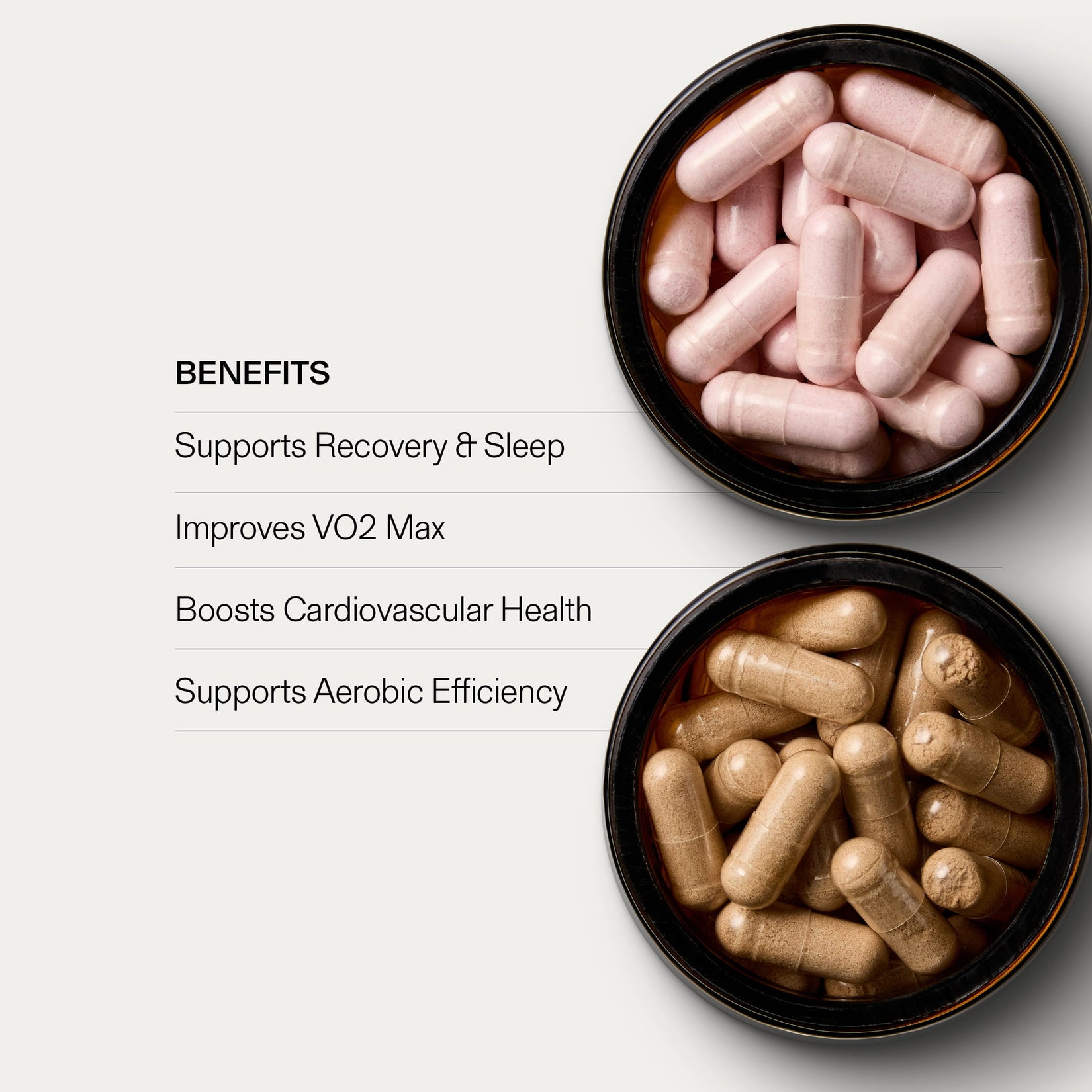 Run and Recover Bundle