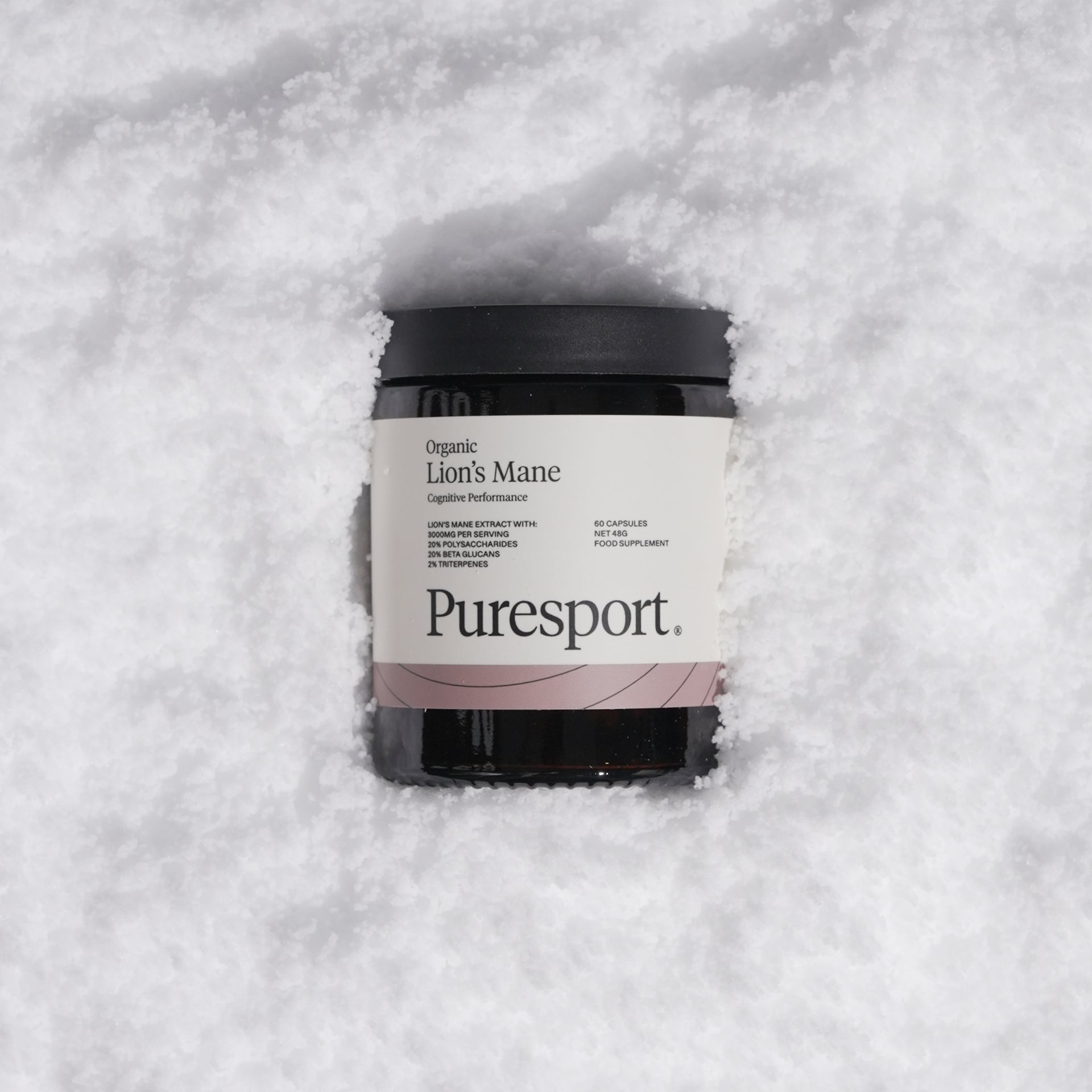 Lion's Mane For the Brain