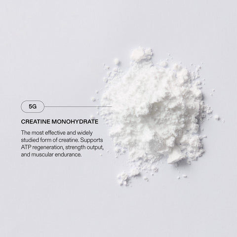 Creatine Monohydrate (30 pack)