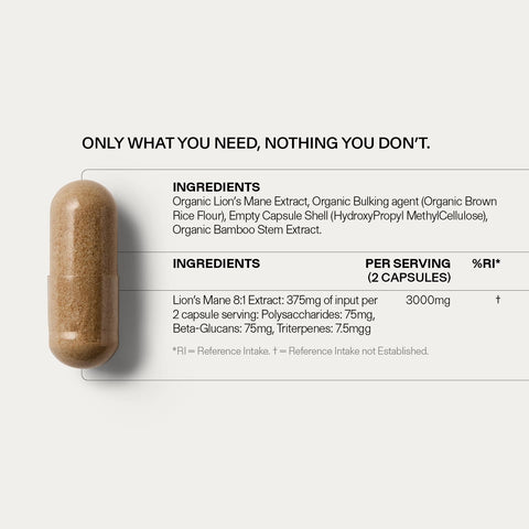 Lion's Mane For the Brain