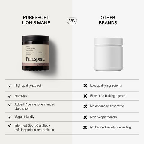 Lion's Mane For the Brain