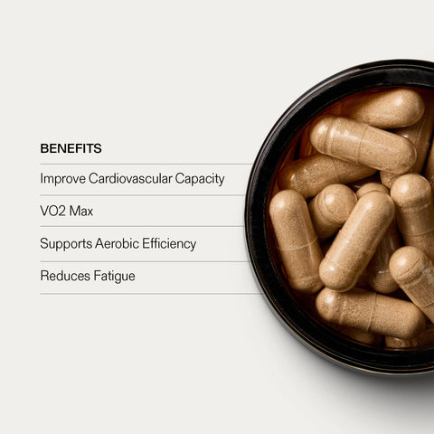 Cardiovascular Cordyceps