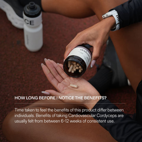 Cardiovascular Cordyceps