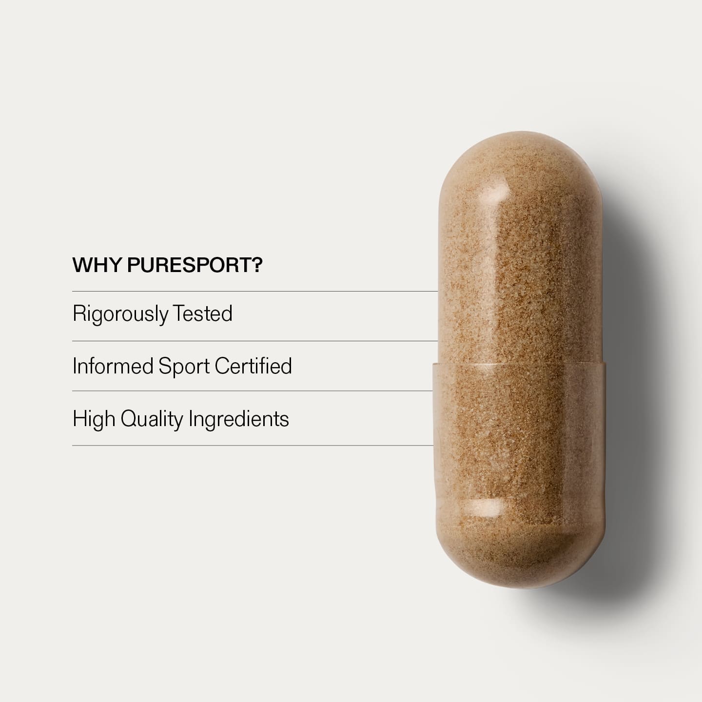 Lion's Mane For the Brain