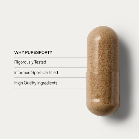 Lion's Mane For the Brain