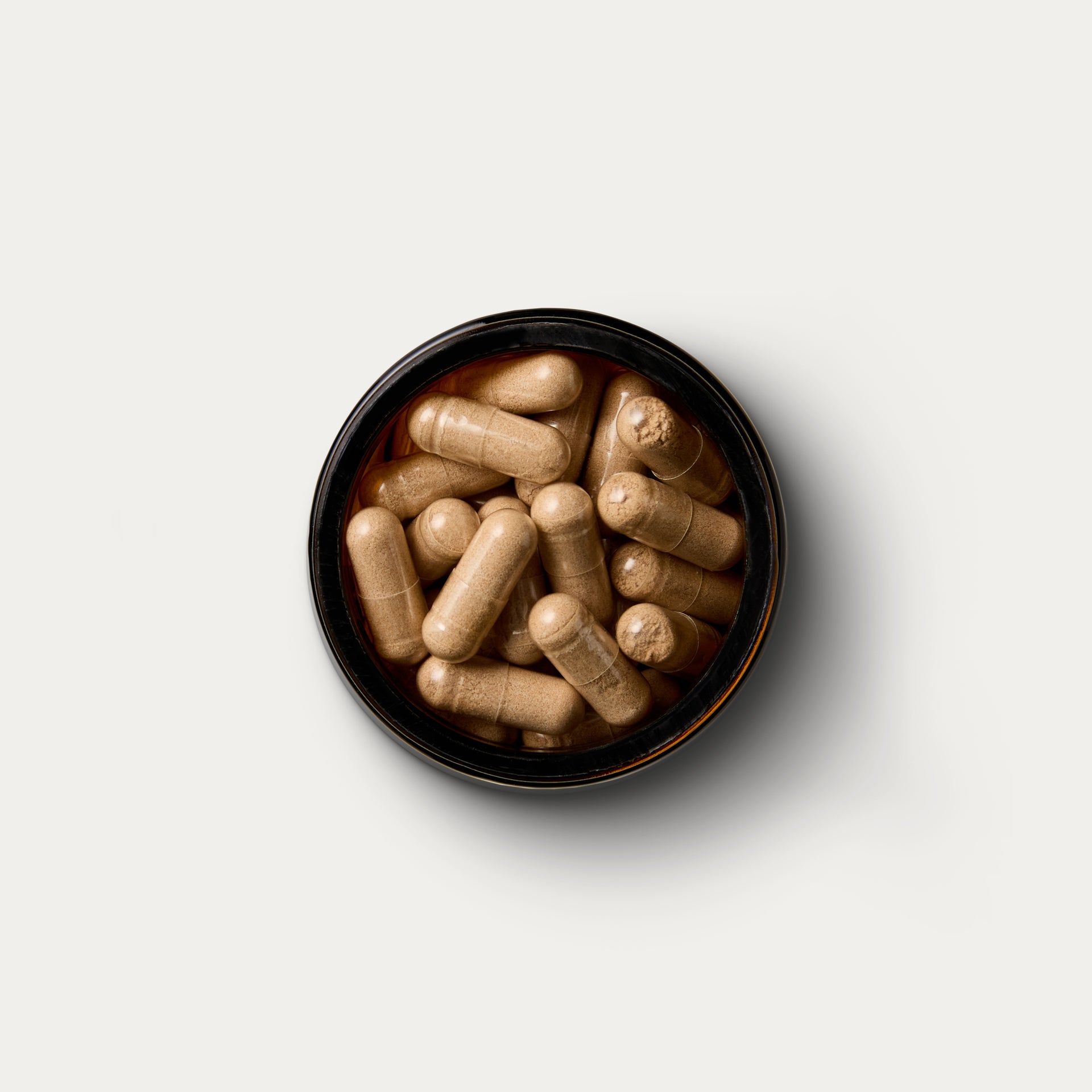 Cardiovascular Cordyceps