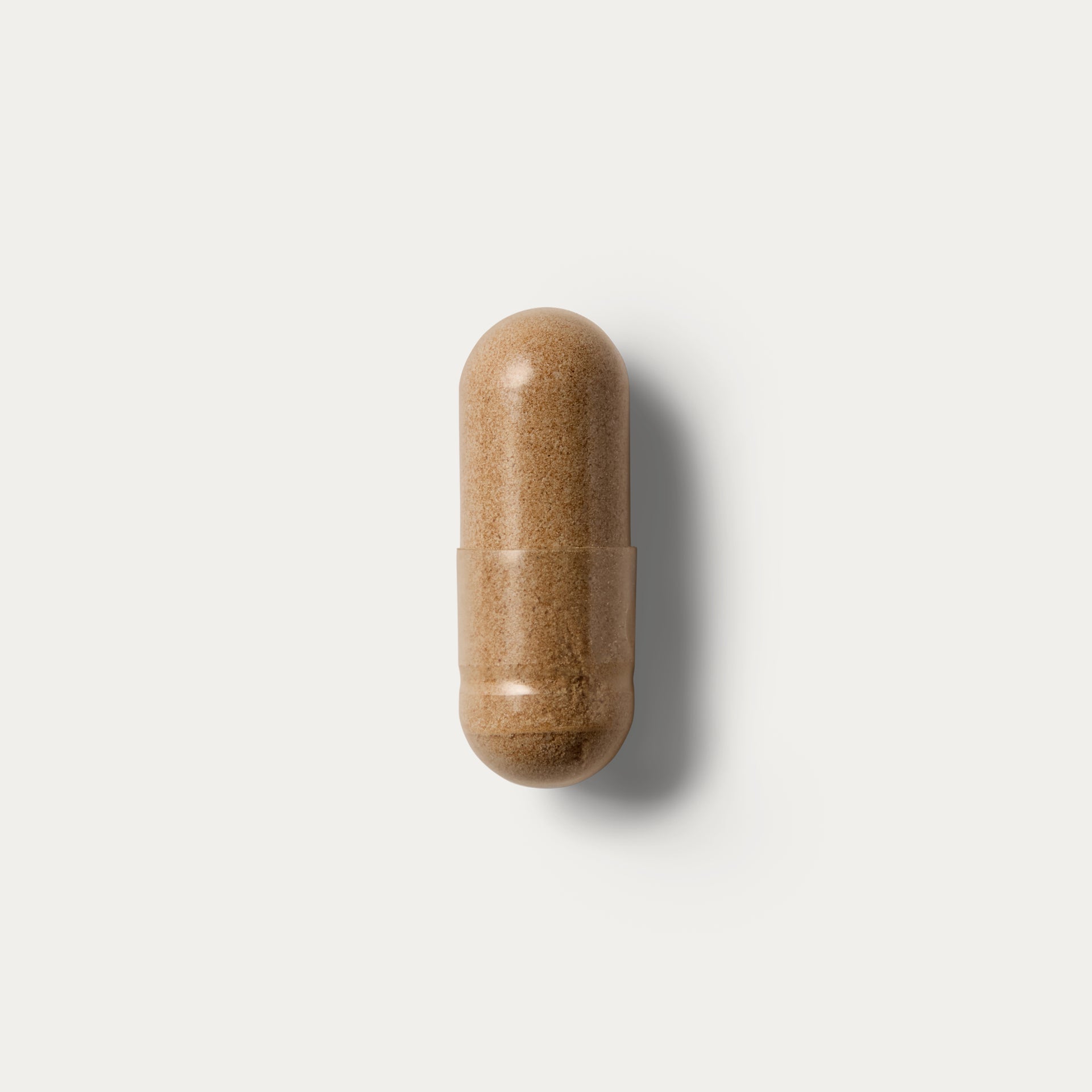 Cardiovascular Cordyceps