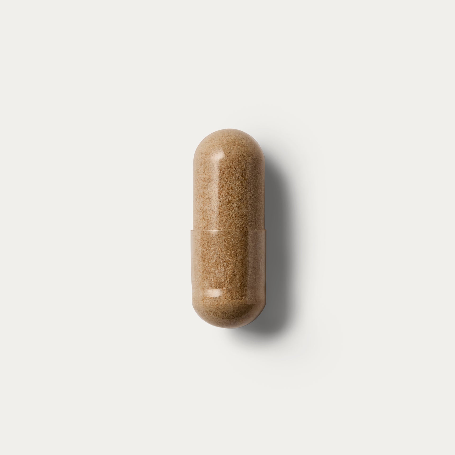 Lion's Mane For the Brain