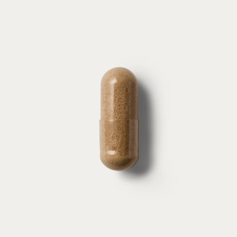 Lion's Mane For the Brain