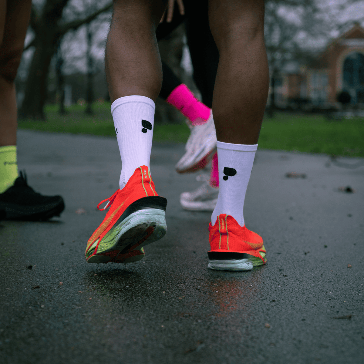 Amg Performance Socks Running Socks | Crew & Ankle Length Performance Socks – Puresport